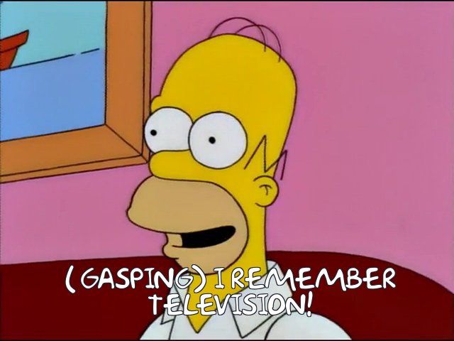 Homer (gasping): I remember television! 