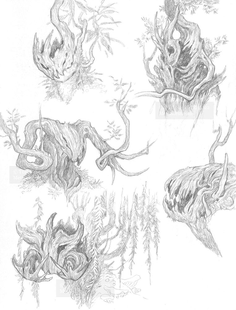 pencil sketches of dryad portraits. they are very pointy and monstery, and have sharp teeth and / or horns made of branches and splintered wood
