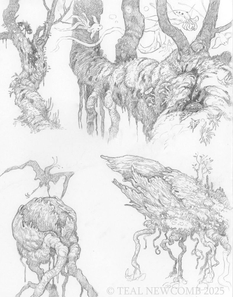 sketches of weird plants and critters
