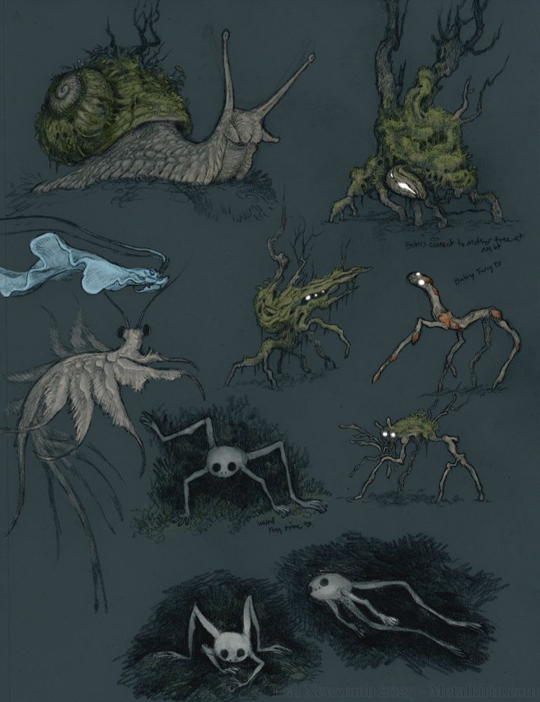 Digital color sketches of faerie bugs, plants and frogs 