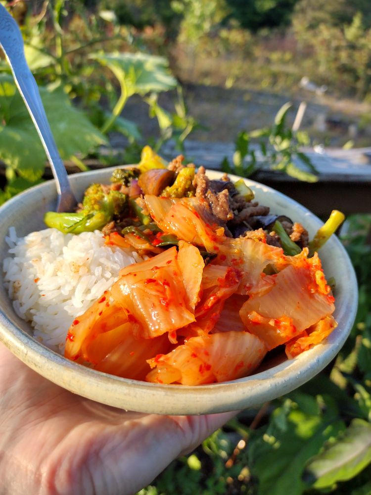 Bowl of stir fry 