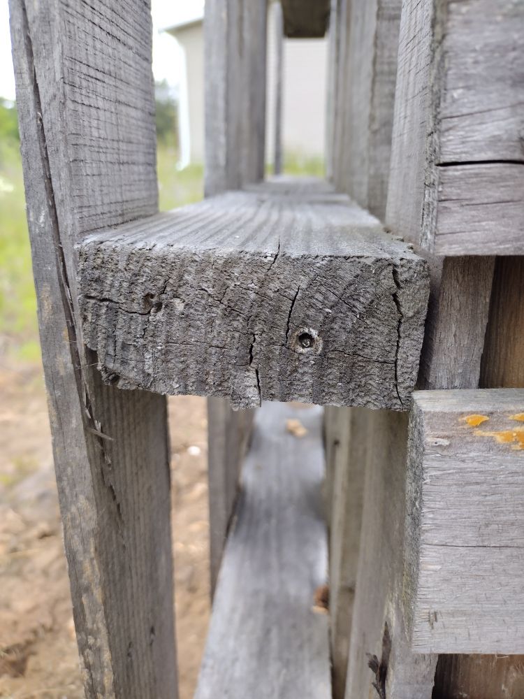 Pallet with holes drilled in it