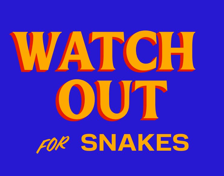 Watch out for snakes in the Mamdani campaign sign font 