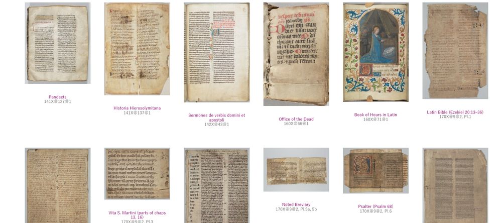 Thumbnails of manuscripts images of the Keio university collection of Medieval Western Manuscripts! Including fragments of Aristotelica and Dutch books of hours.
