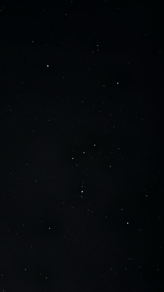 Orion constellation. Picture taken on the 1st of January 2025. 