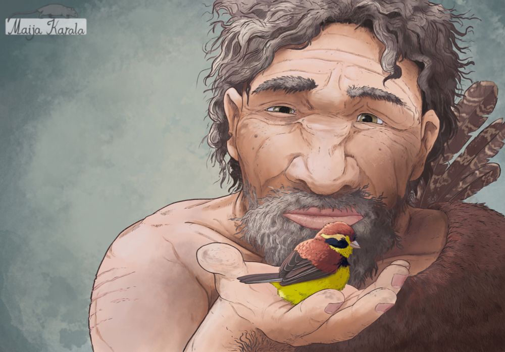 Illustration of an elderly neanderthal man, seen from the chest up, with grey-streaked hair and beard, a large nose and scars, wearing a fur coat thrown on his shoulder and some hawk feathers. He’s holding a tiny yellow and rufous bird on his palm and looking at it closely. The bird looks ill, with puffed up feathers and half-closed eyes.
