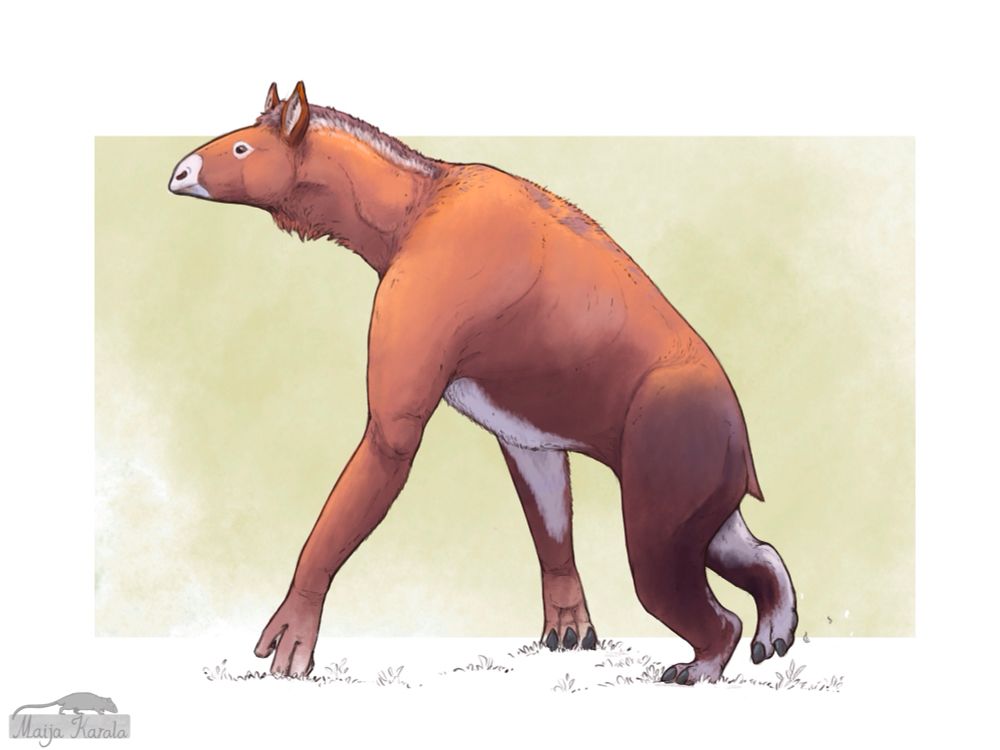 Digital drawing of Anisodon grande, a species of chalicothere. It is a mammal with a somewhat horselike head, very long arms with large claws and very short hind limbs, giving it a sloping back and gorilla-like shape. The animal is coloured orange-brown with a white belly and has a small mane and a beard-like tuft of fur on its throat.