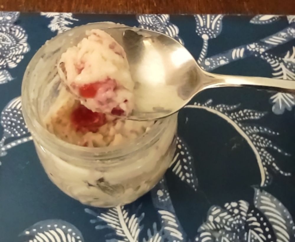 Chronic Illness Survival guide: 5 minute prebiotic+protein fruit pudding recipe