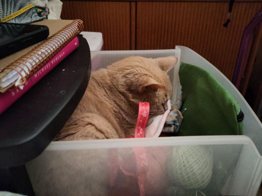 Photo of a set of Rubbermaid drawers. The top drawer is partly pulled out, and includes assorted craft supplies, a tape measure, and a cat sleeping on top of the tape measure.