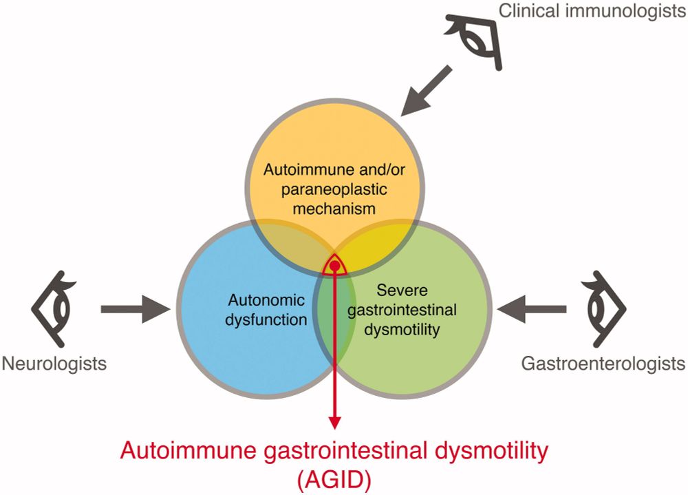 Venn diagram with three circles.

1. A blue circle labeled "autonomic dysfunction" with an arrow indicating it's often treated by neurologists

2. A yellow circle says "autoimmune and/or paraneoplastic mechanism" with an arrow indicating it's often treated by immunologists

3. A green circle reads "severe gastrointestinal dysmotility" with an arrow indicating it's often treated by gastroenterologists

The spot where the circles overlap is labeled "Autoimmune Gastrointestinal Dysmotility" (AGID)