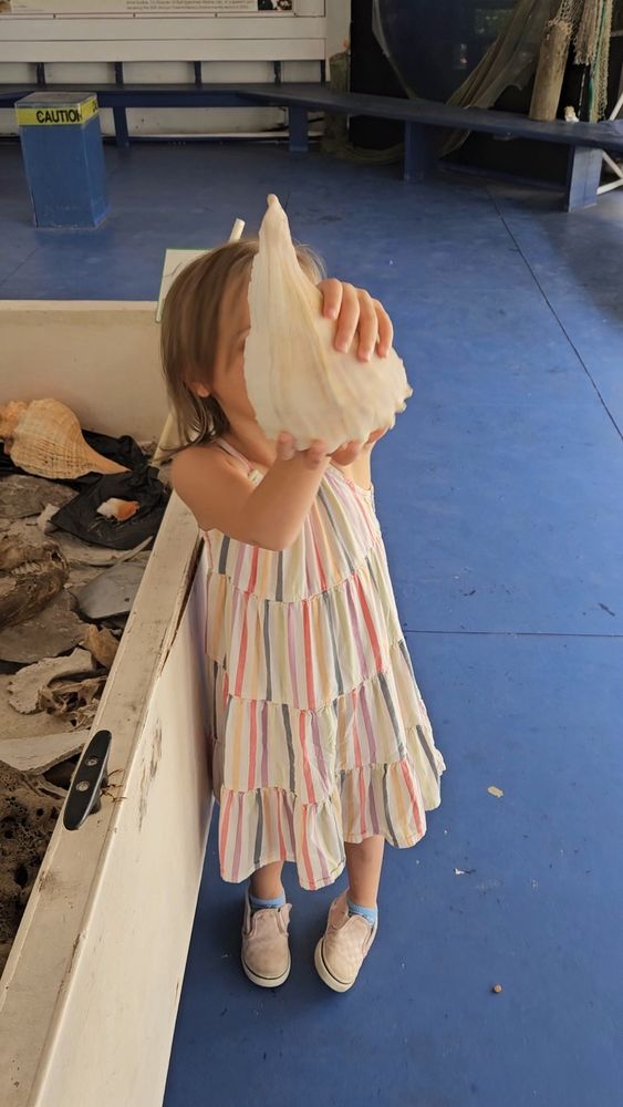 Bean holding a large conch shell up to show the camera