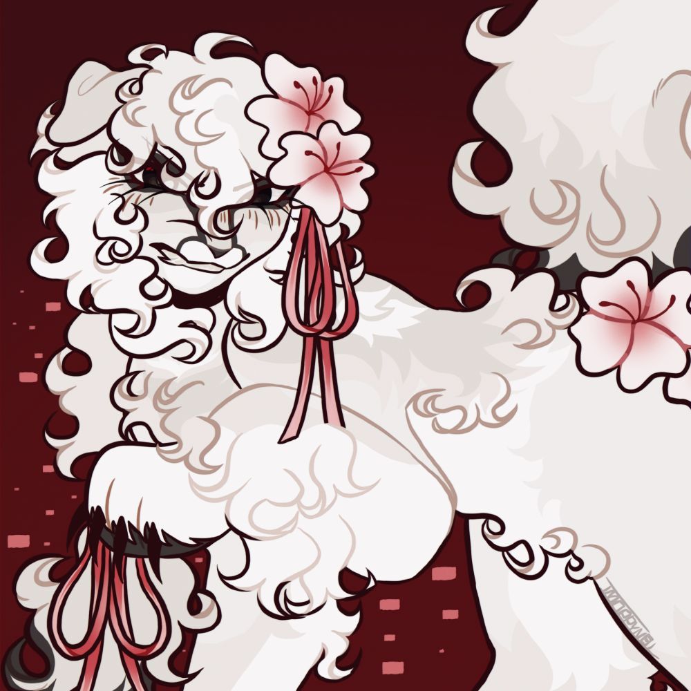 A flat halfbody of a mostly white scottish fold with white flowers and pinkish red bows hanging from his fur.