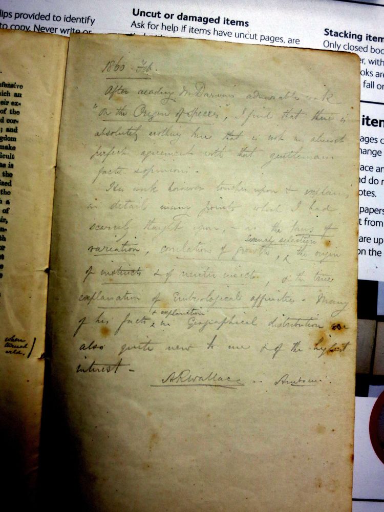 Image of Wallace's writing indicating that he found Origin of Species in agreement with his own work.