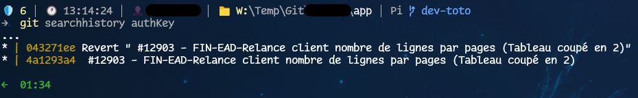 Terminal with `git searchhistory authKey` command.

The result shows 2 commits in the branch history that contain the searched string