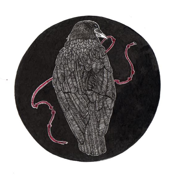 An ink drawing of a crow with a very knotted red string of fate contained inside of a blacked in lopsided circle. 