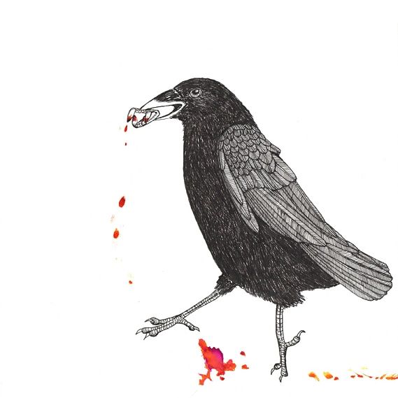 A drawing of a crow in black ink with a pair of fake vampire teeth dripping red ink in its wake. 