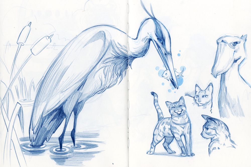 Sketchbook page of a heron