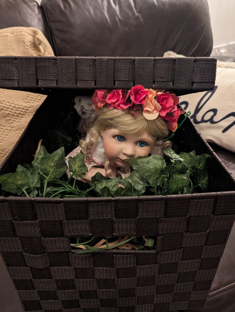 The (possibly) cursed doll in her role as 'May Doll'. This was a tradition where children would dress a doll in its best, put it in a box and go house to house, asking for a penny in return for a look at the doll - an alternative form of 'penny for the guy'. In this photo, the doll is resting on a bed of ivy leaves, and peeking out of a box in a slightly unsettling manner. We are not sure whether she is returning to the box or trying to leave it....