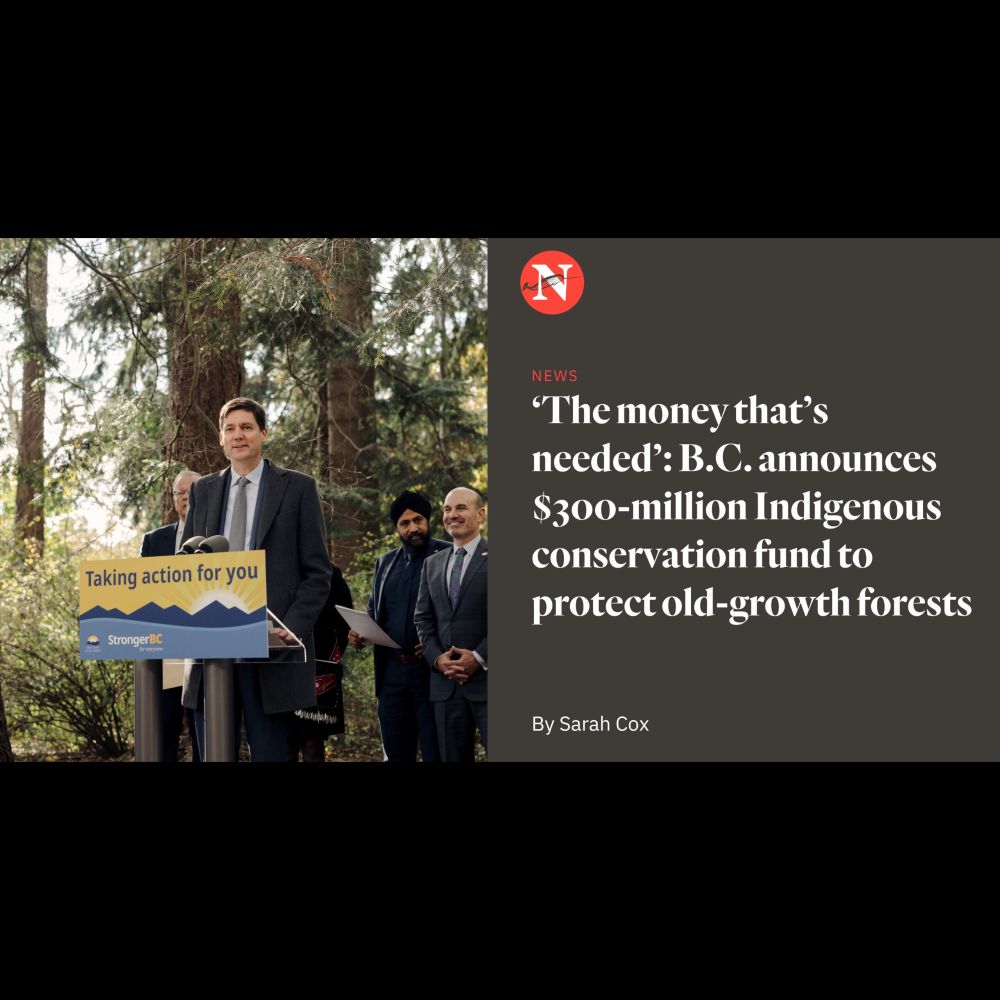 B.C. announces $300M Indigenous conservation fund to protect old-growth | The Narwhal