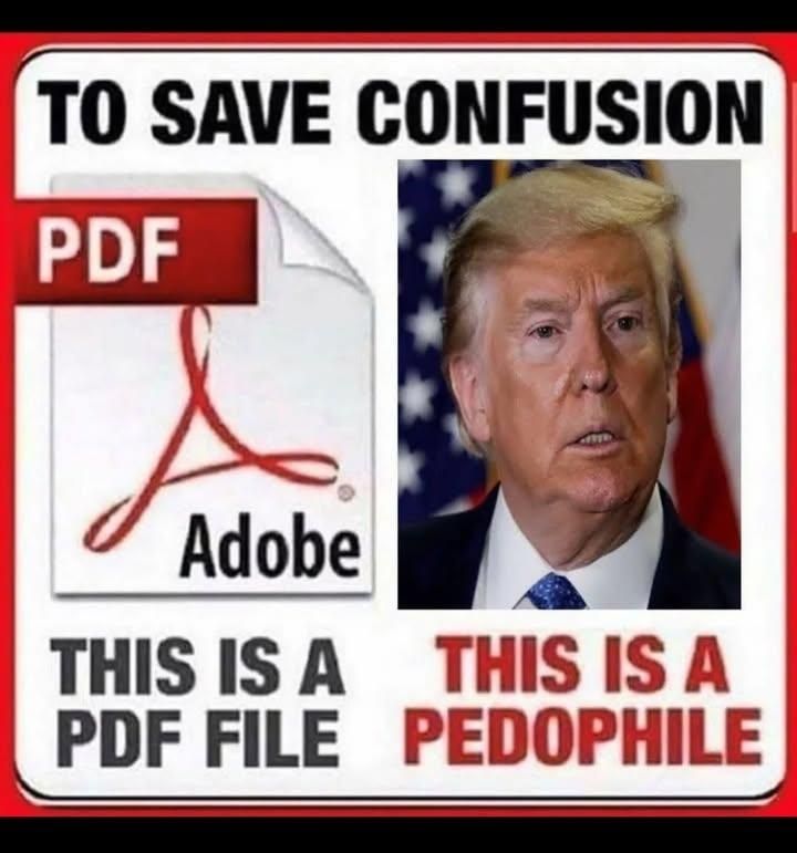 To save confusion this is a pdf file (pdf logo shown). This is a pedophile ( pic of Trump)