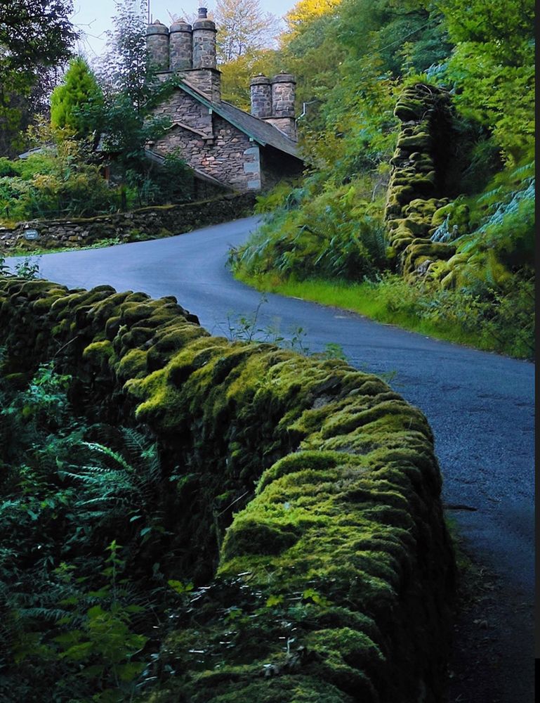 View of a very green and mossy wood wall.. in the distance on the snaking road, we see a slate cottage with 5 tall chimneys!