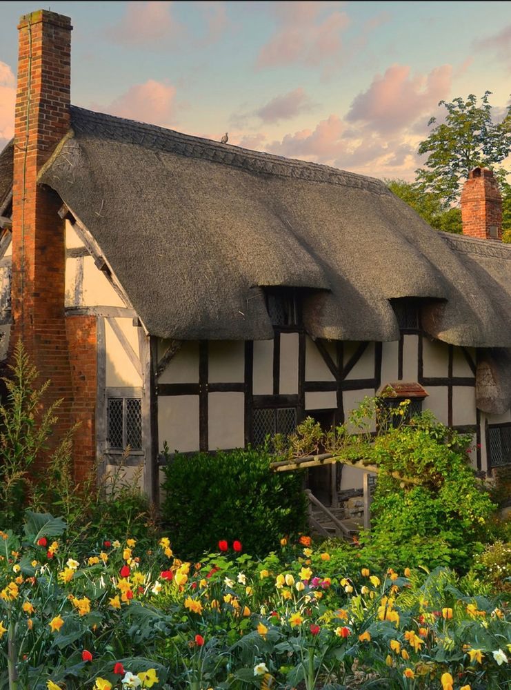 View of a perfectly proportioned thatched cottage with two chimneys.. In front, an abundance of tulips and other colourful plants.
