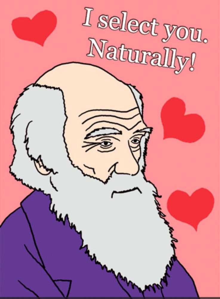 A simple illustration of Charles Darwin surrounded by Valentine's hearts, with the expression, "I select you. Naturally!"