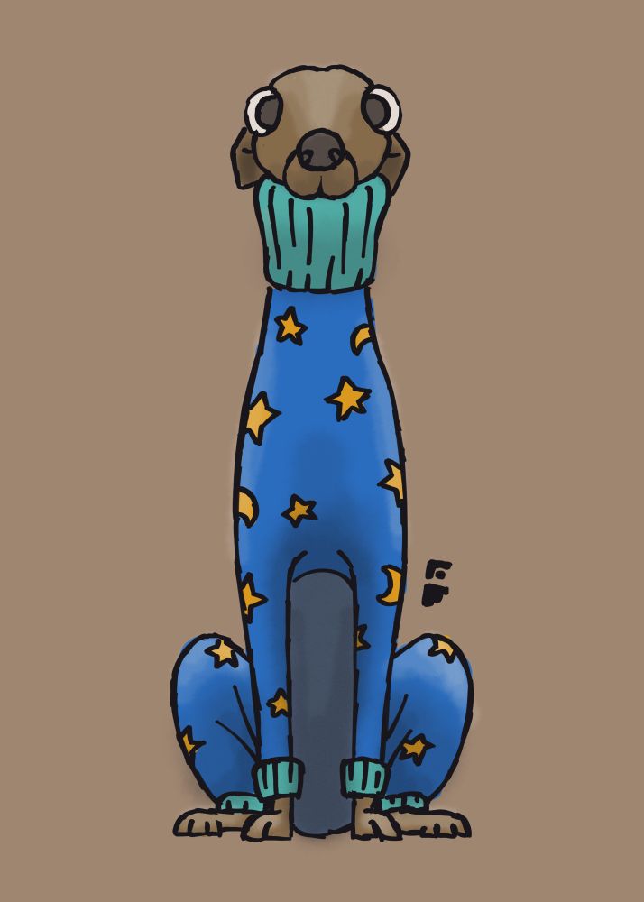 a sketch of a very pointy pooch in star pajamas looking at you intently