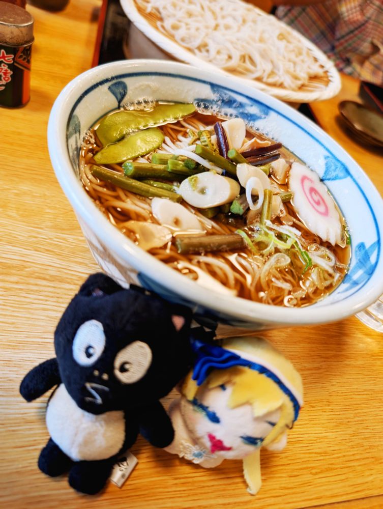 お店で食べた「山菜そば」の画像です