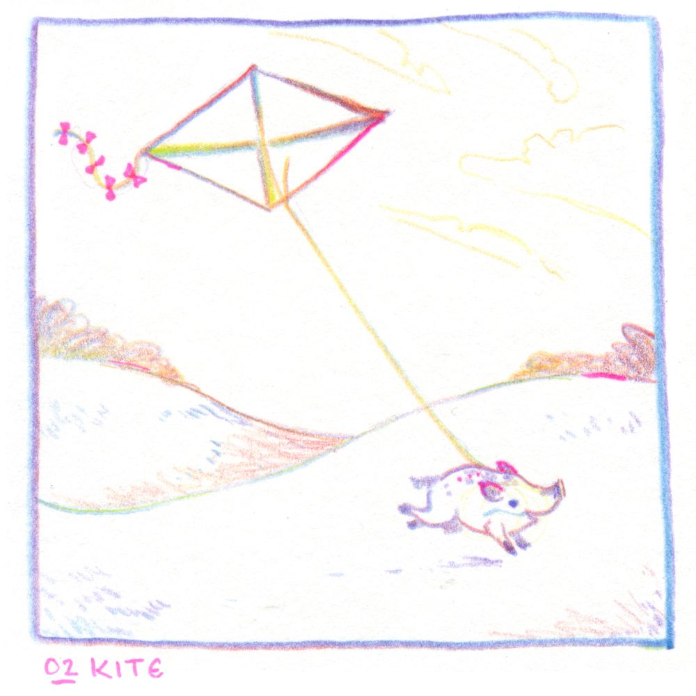 Illustration with rainbow line work of tiny boar flying a kite through a meadow