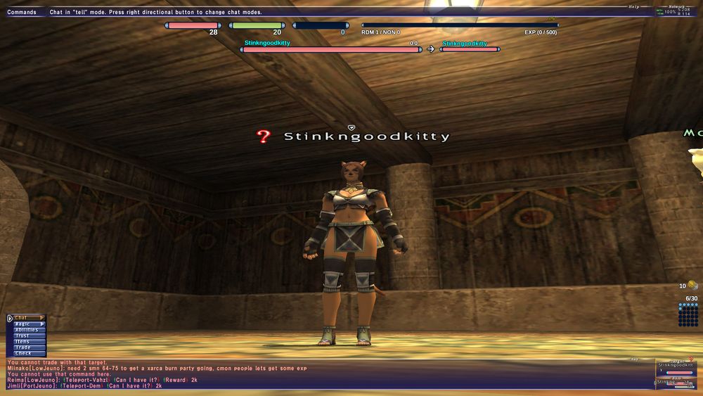 Final Fantasy XI screenshot, it's my new character (a level 1 red make kitty) inside my house