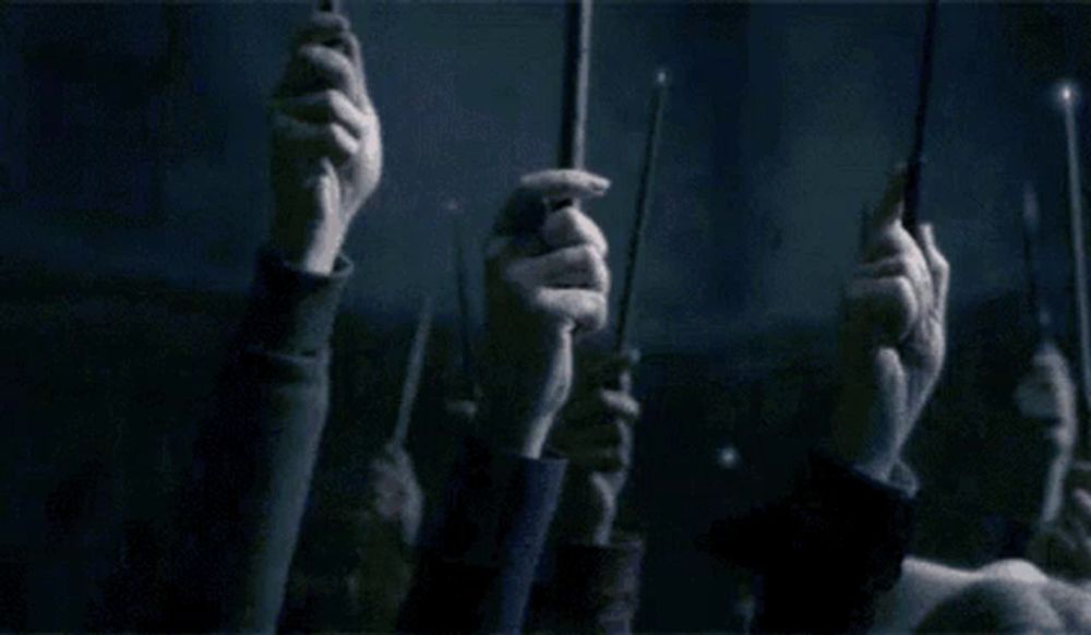 a group of people holding up their wands in the air .