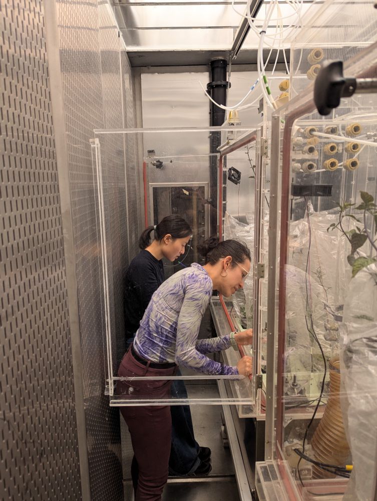 Xue and Valeria placing VOC analysis tubes.