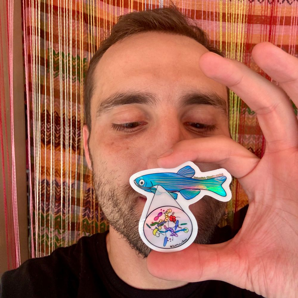 Selfie of me with a colorful fabric background, looking down at a sticker I’m holding with my thumb and finger. The sticker is of a cartoon drawing of zebrafish and its gut microbiome. There’s a slight holographic shimmer effect. The fin says “zebrafish (Danio rerio)”