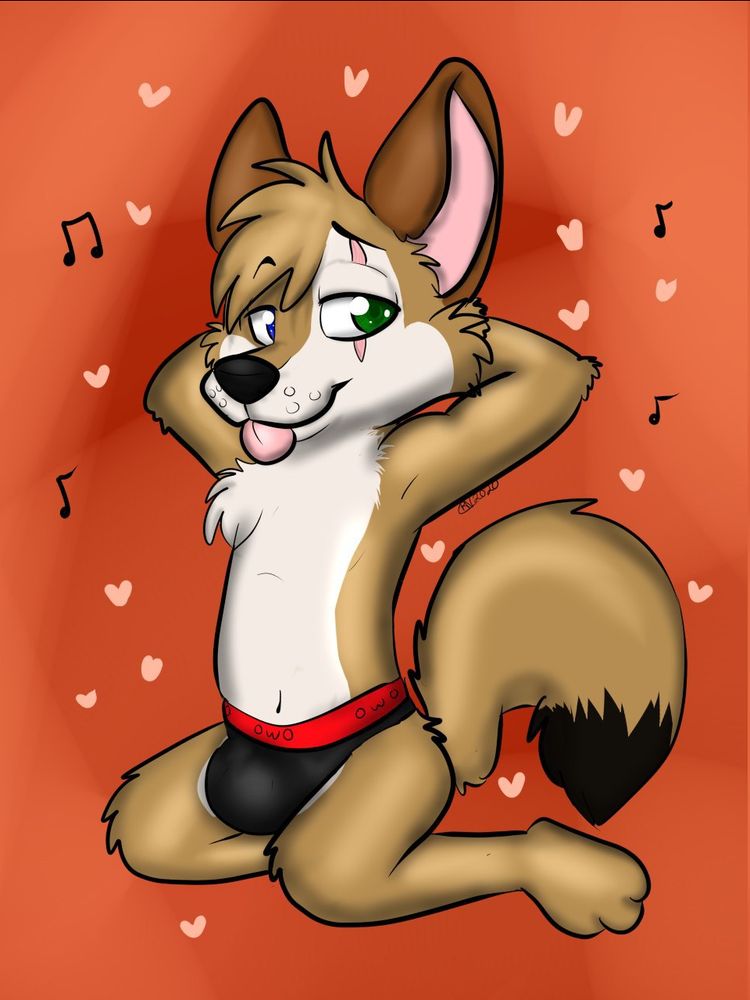 Just a wolf posing in his cute undies