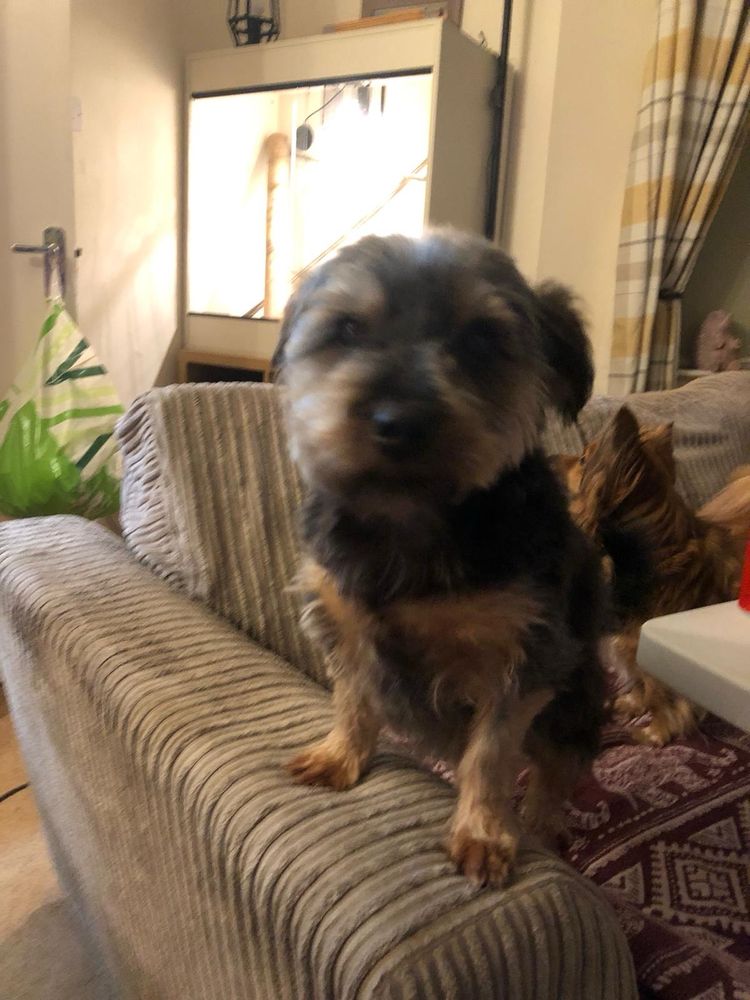 Charlie 
