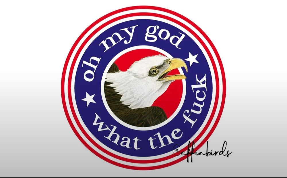 A humorous take on the presidential seal - has an upset looking bald eagle in the center, and the words say oh my god, what the fuck