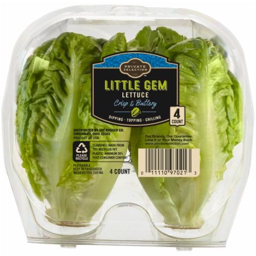 A picture of some baby gem lettuce - reference to the Liz Truss administration in the UK which rotted through quicker than a lettuce.