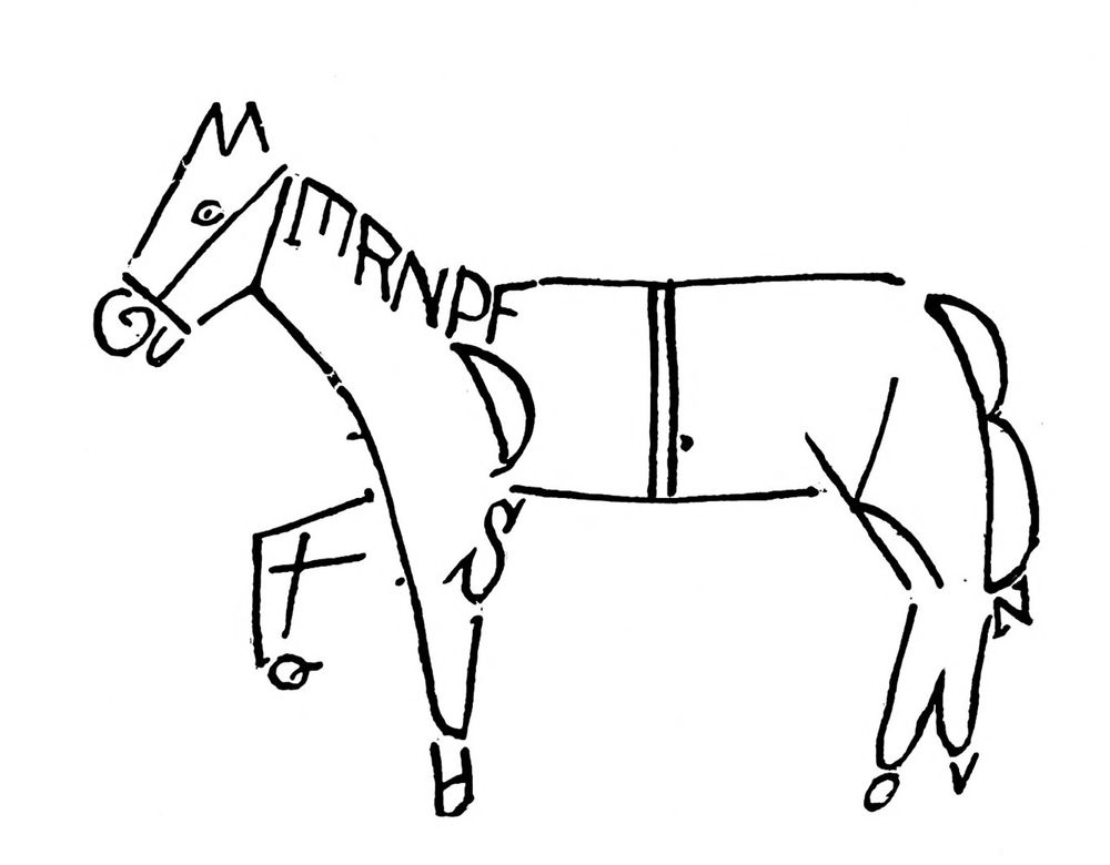 An old illustration of a horse, composed of latin letters
