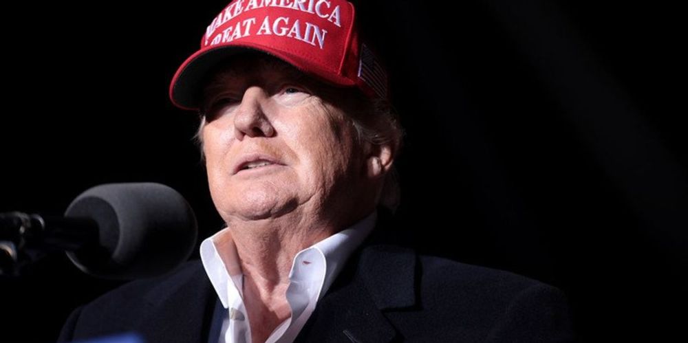 'Calling him out': Internet hails Emmy nod for segment that 'makes Trump look bad'