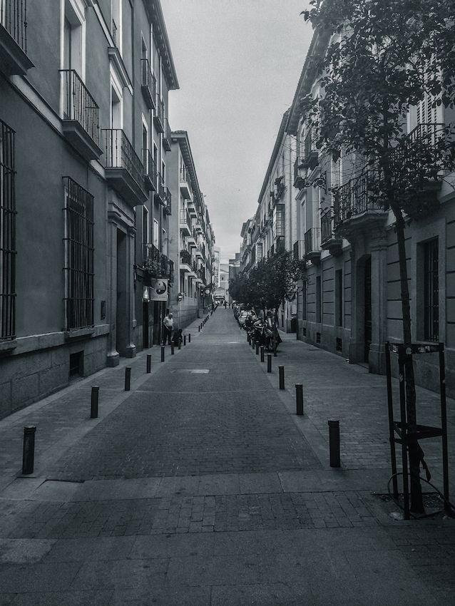 B/W image of a lonely narrow street. Bollards on both sides and a few trees. Street surrounded by three story buildings.