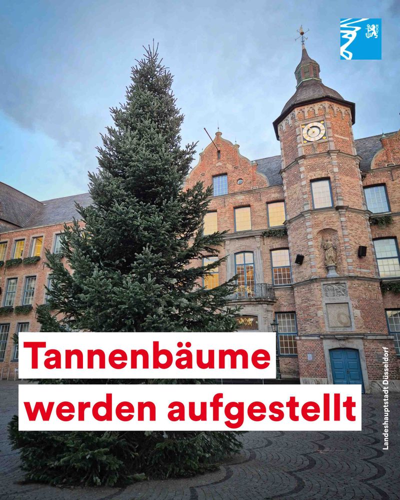 Großer Tannenbaum steht vor historischem Backsteingebäude mit Uhrturm in Düsseldorf.