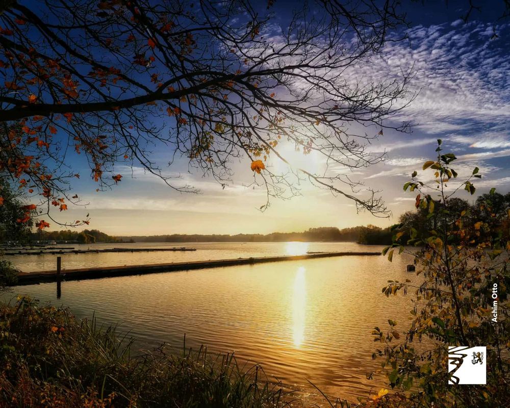 Sonnenuntergang über einem ruhigen See mit kahlen Ästen und wenigen Herbstblättern im Vordergrund.