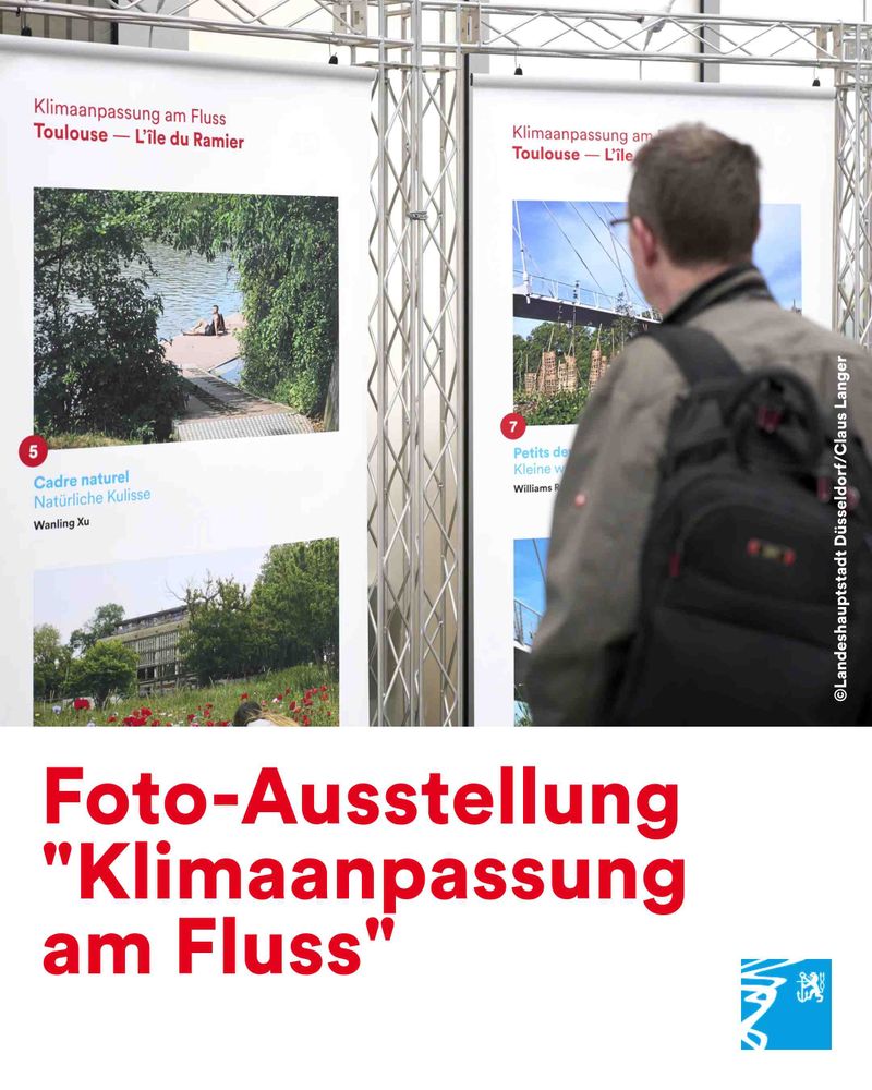 Mann betrachtet Fotos zur Klimaanpassung am Fluss in einer Ausstellung mit Bildern von Toulouse und Düsseldorf.