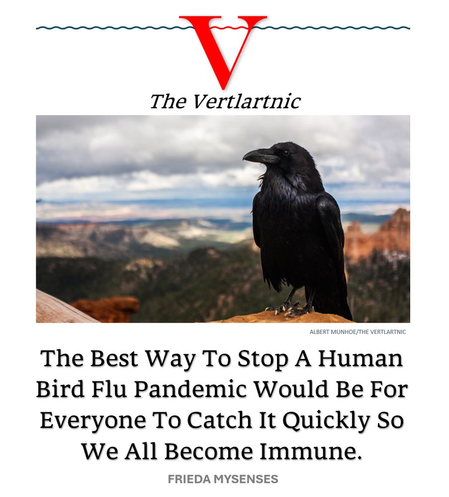 A raven
Headline:
The Best Way To Stop A Human Bird Flu Pandemic Would Be For Everyone To Catch It Quickly So We All Become Immune.
Story by Albert Munhoe and Frieda Mysenses

Photo from Unsplash