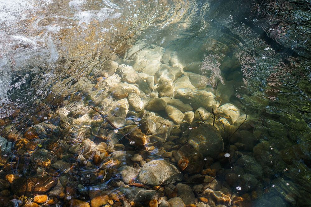 Rocks at the bottom of the clear river water.