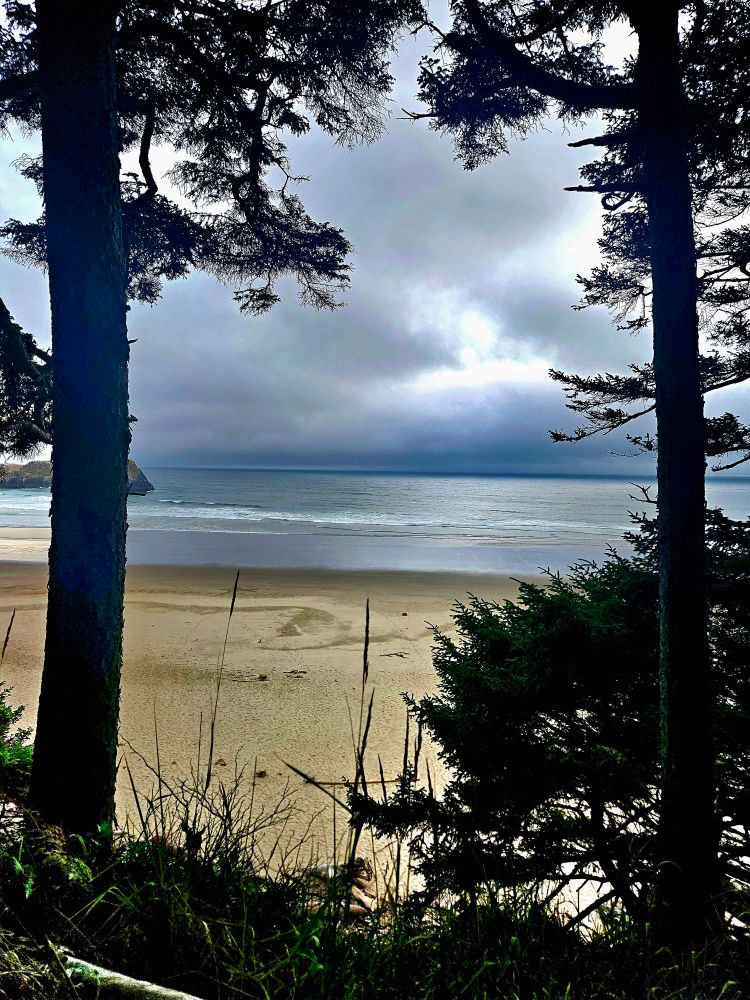 A photo of the Pacific ocean in Northern Oregon, the ocean is in the background. In the foreground are the tan colored sands, and then some trees and brush in the foreground. You can see the ocean between two trees in this photo. The skies are cloud covered. There are also some sea stacks off to the left, with one of the trees partially blocking their view. 