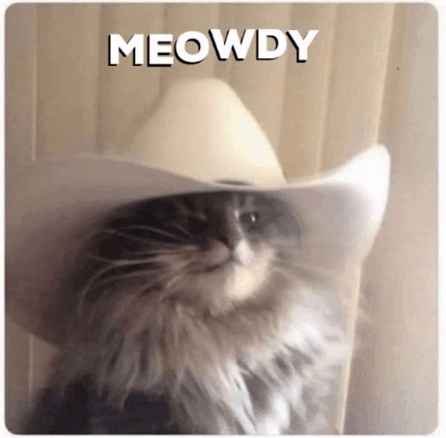 a cat wearing a cowboy hat with the word meowdy written above it