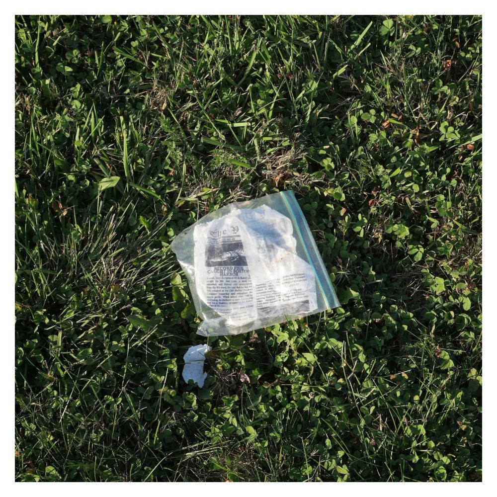 A piece of paper inside a zip lock back discarded on grass.