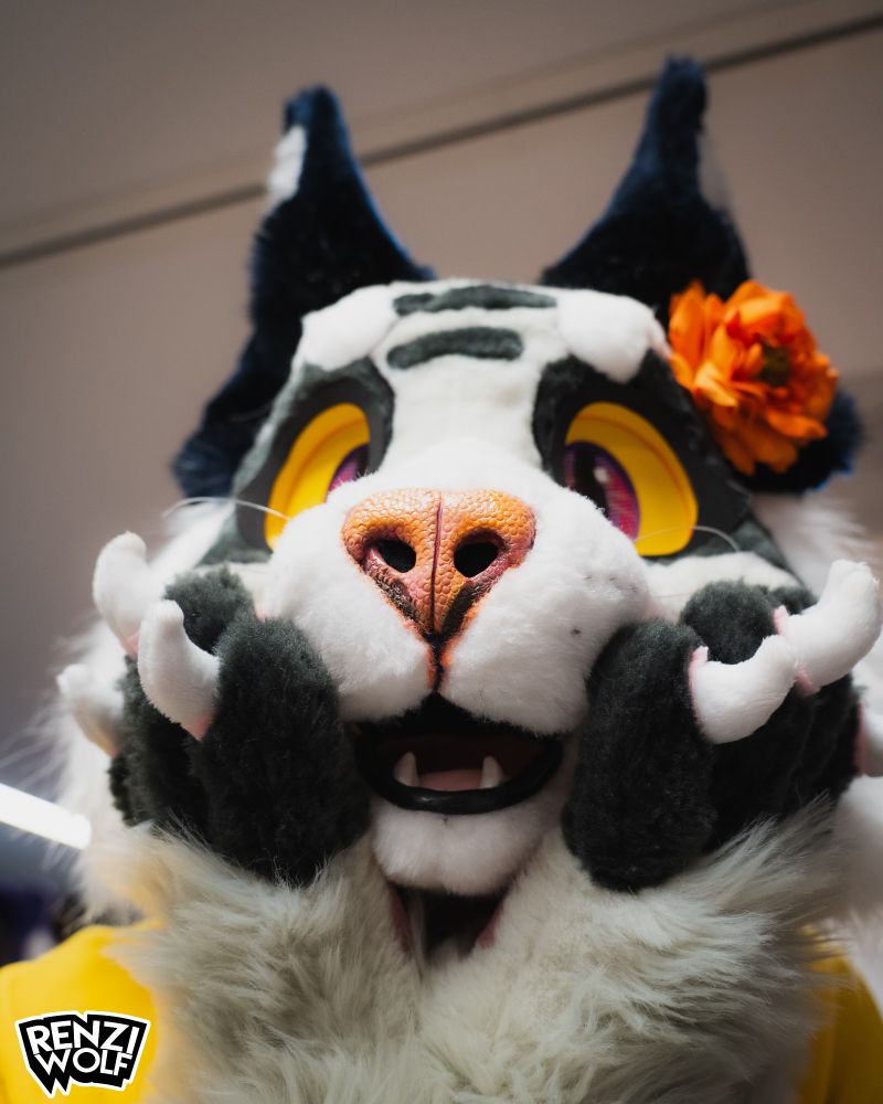 Kalune very boopable!